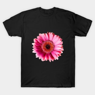 Beautiful Gerbera Flower T-Shirt